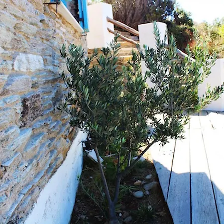 Ferienhaus Adonis Andros *